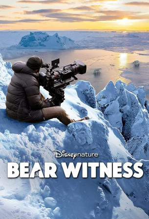 Наблюдение за медведем